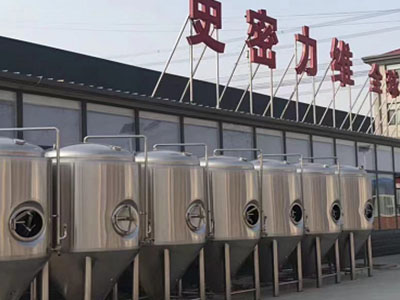 措勤精酿啤酒设备厂—如何判断精酿啤酒设备的密封件需要更换？
